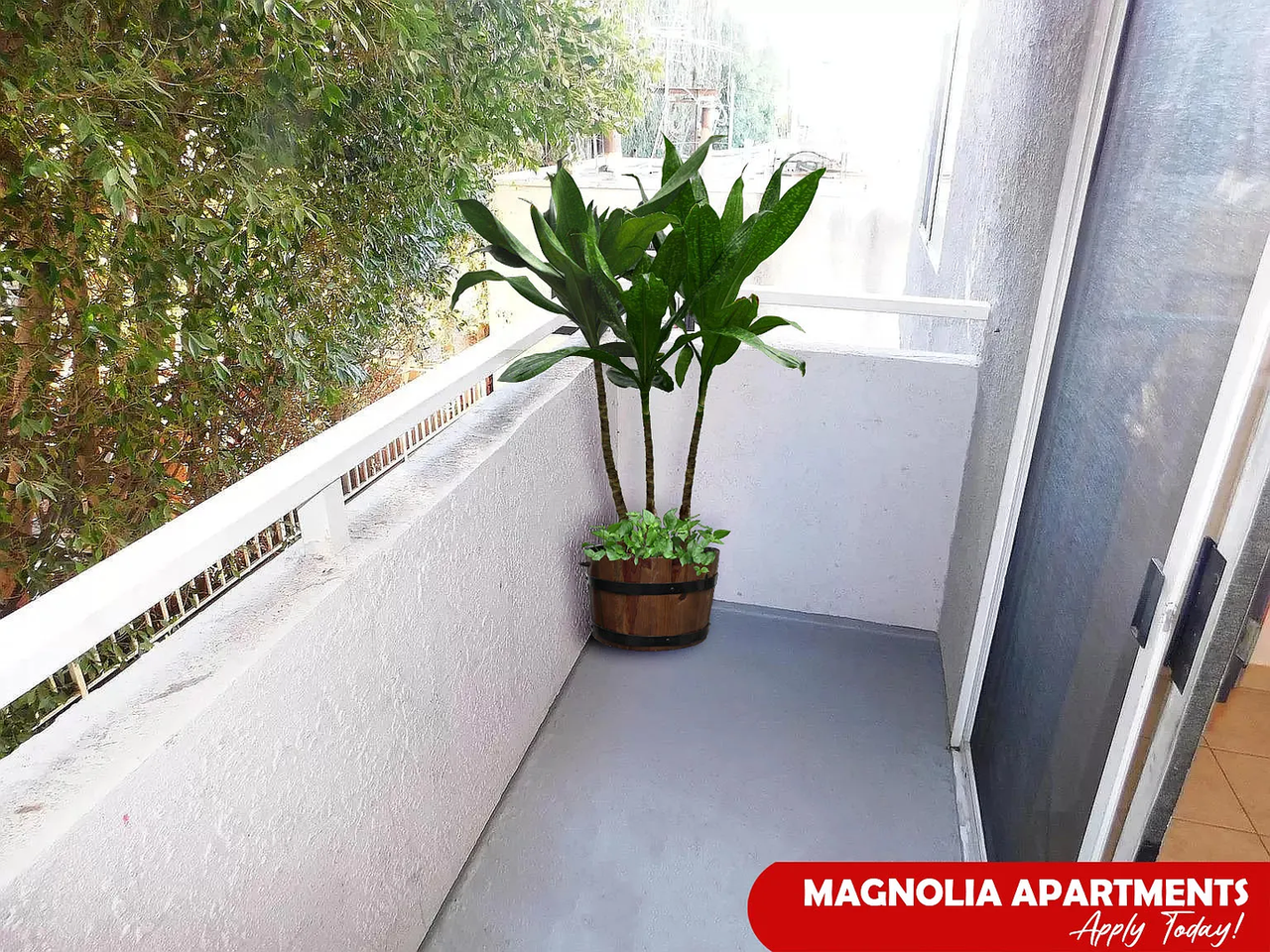 MAG - Magnolia Place - Photo 3 of 22