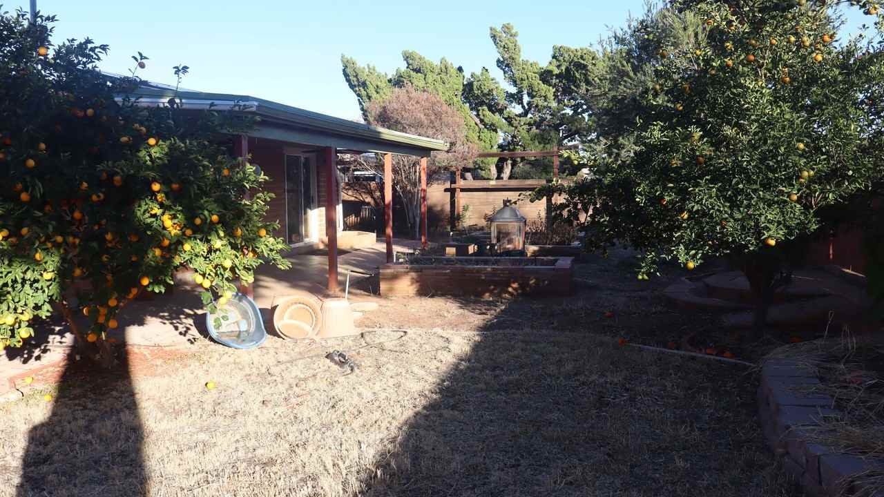 1516 Cushman Dr - Photo 6 of 45