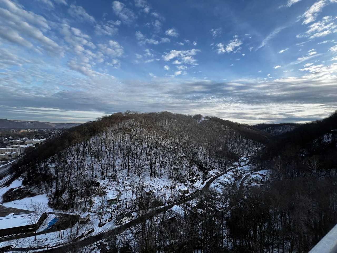 1800 Roundhill Rd #1503 - Photo 2 of 18