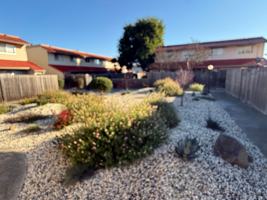 featured image of 79 Avram Ave