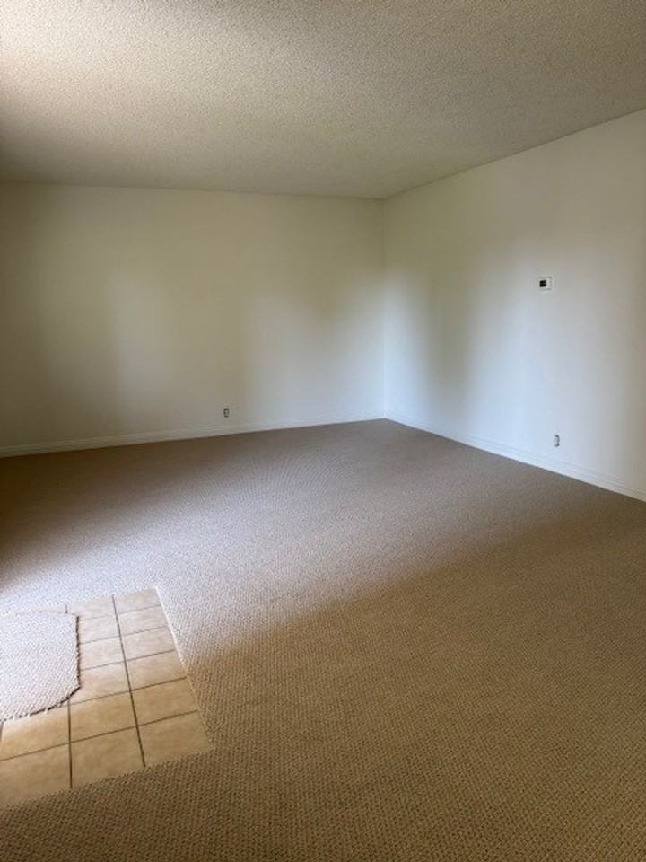 207 W Marquita #6 - Photo 4 of 15