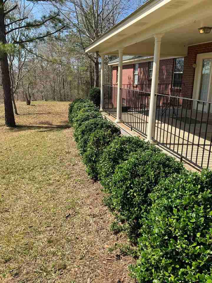 971 Manningham Rd - Photo 6 of 50