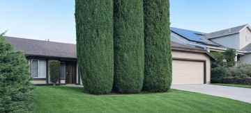 featured image of 6748 Tuxedo Rd