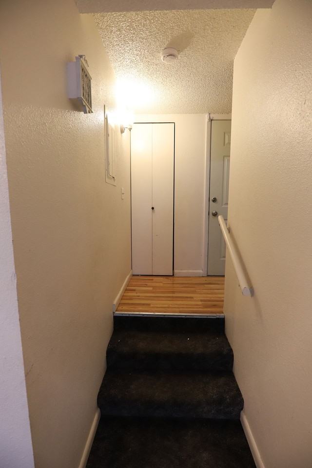 1943 Edwards Dr #B - Photo 3 of 42