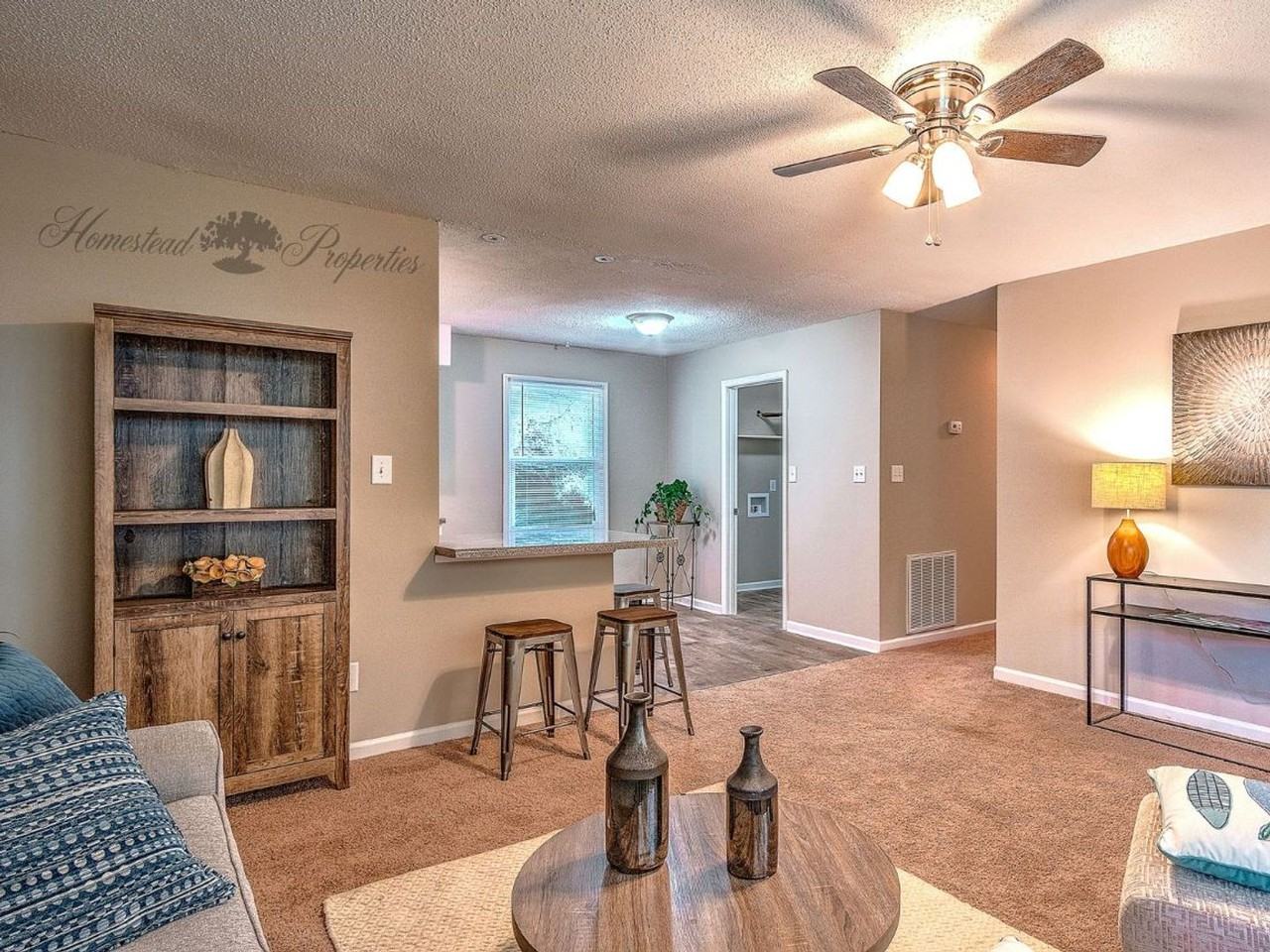 Quiet Area, Close to Town! Renovated 3 Bedroom, 1.5 Bath Apartment at Greenbriar Circle – Johnson City, TN - Photo 4 of 18