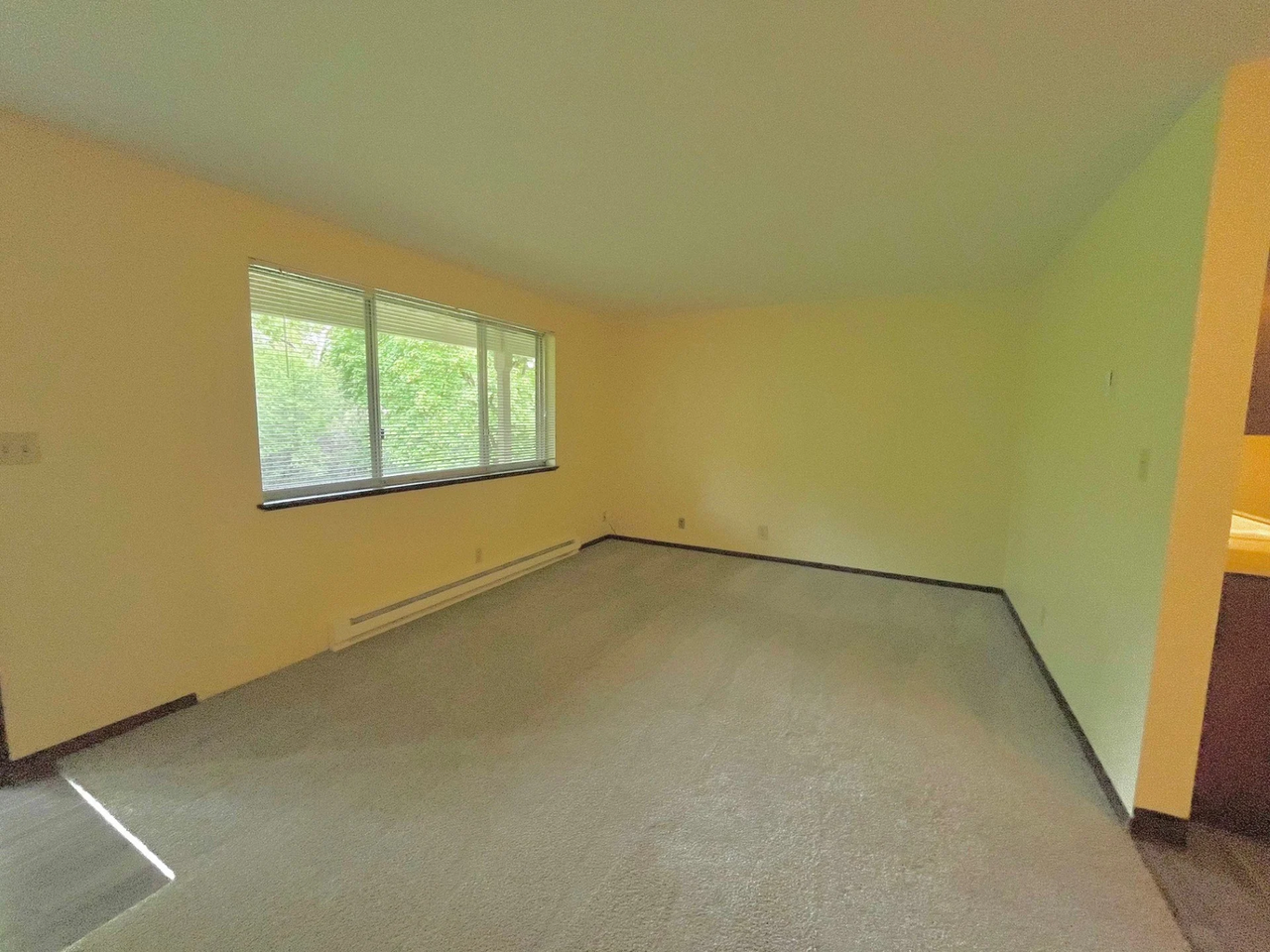 Bush Park Apartments - Photo 6 of 23