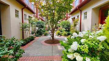 featured image of 568 2nd St