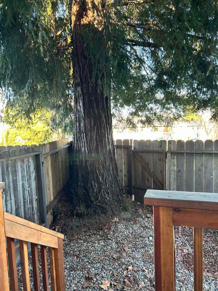 20 Selfridge St - Photo 6 of 8