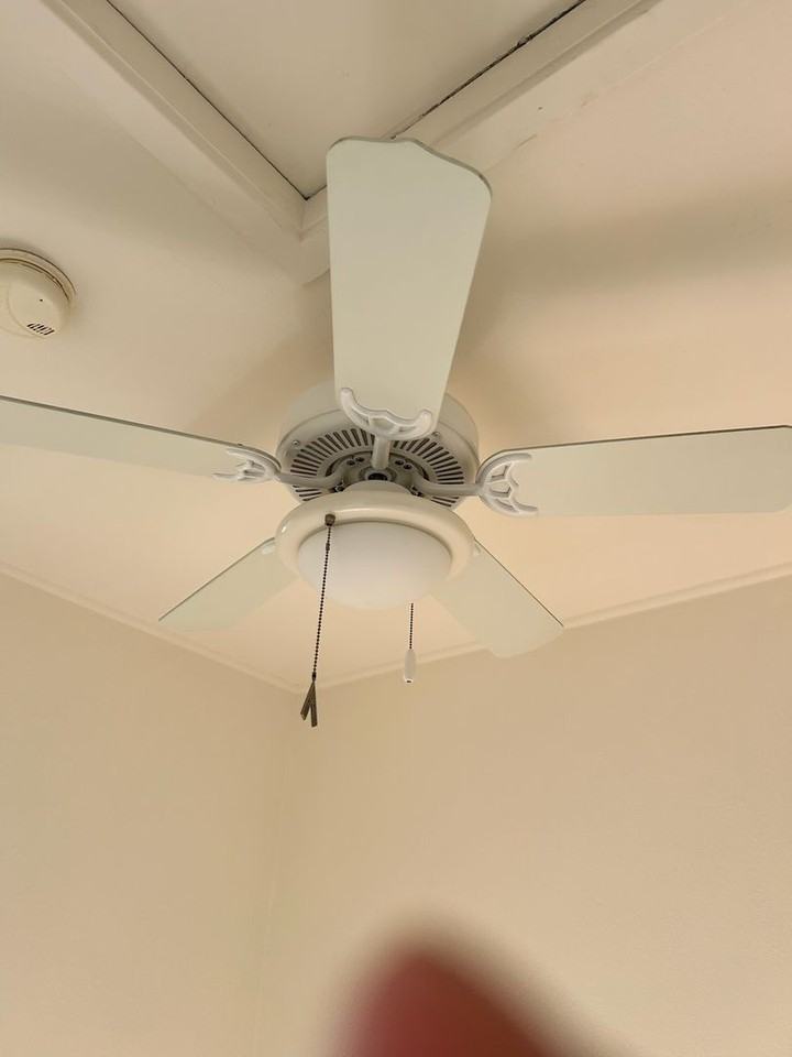 20 Selfridge St - Photo 7 of 8