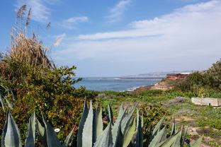 4925 Del Mar Ave - Photo 1 of 1