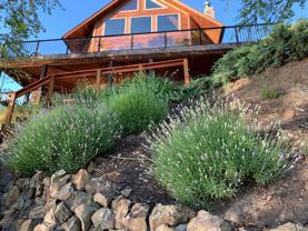 24245 Hewett Rd - Photo 1 of 1