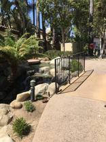 1159 Via Montoya - Photo 1 of 1