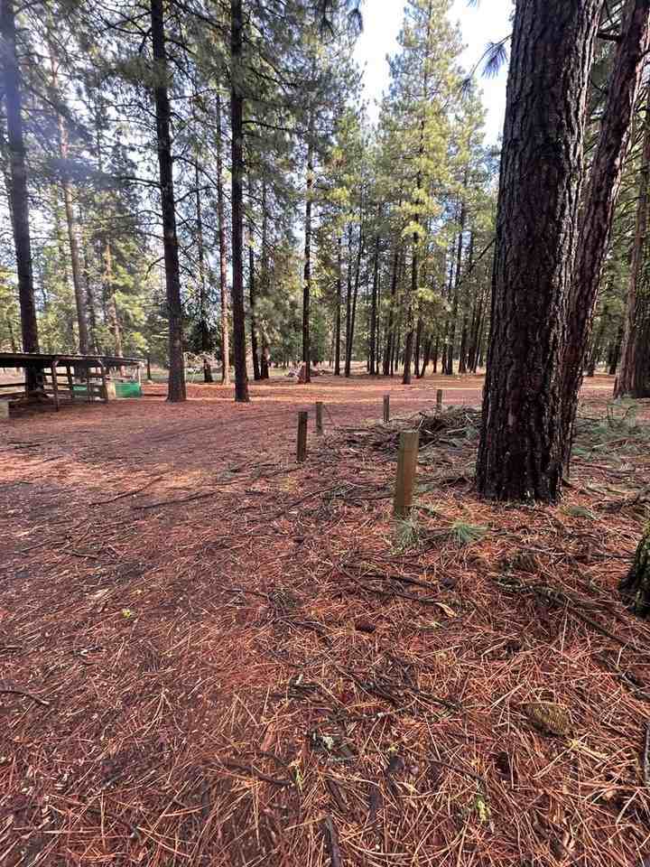 18515 Freight Road Ln - Photo 2 of 16