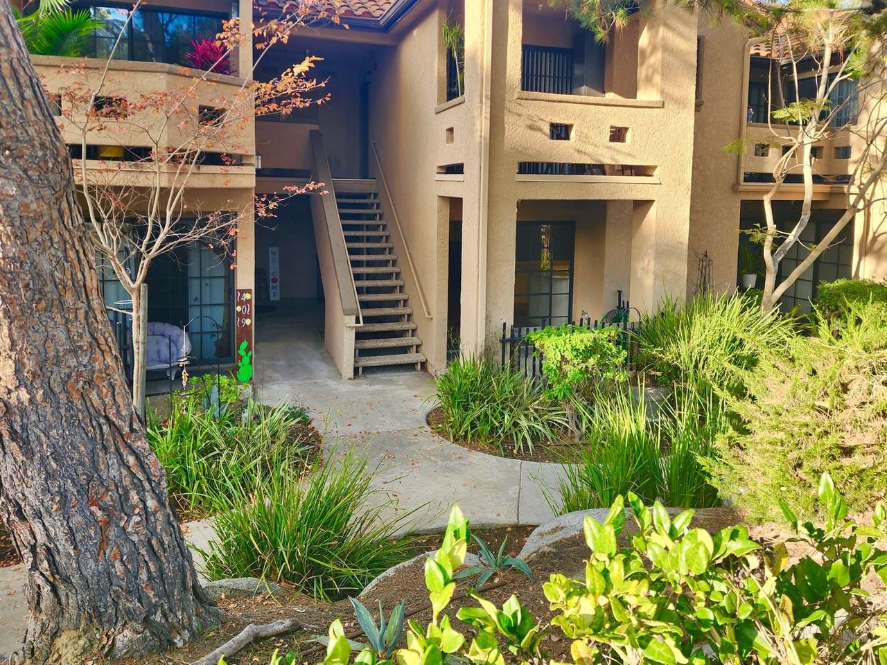 1046 Calle Del Cerro #411