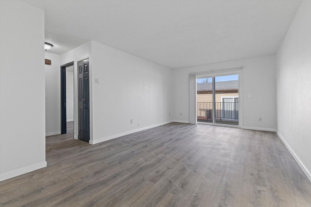 Shannon - Photo 4 of 15