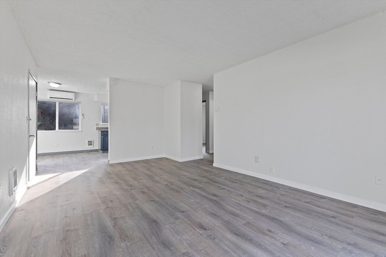 Shannon - Photo 5 of 15