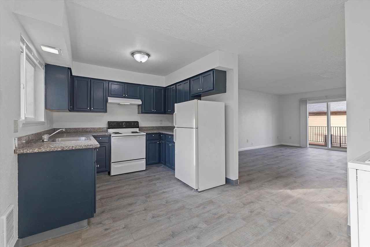 Shannon - Photo 6 of 15