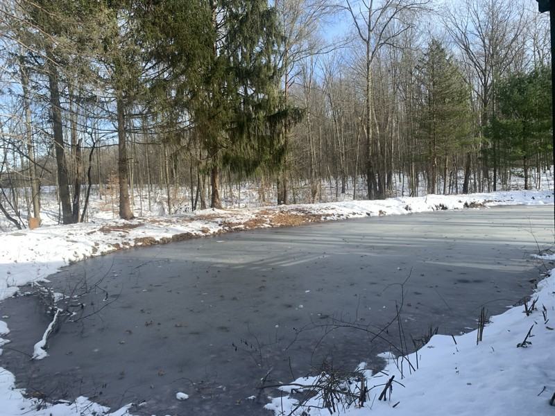 422 Sr(Parkman Rd) - Photo 6 of 18