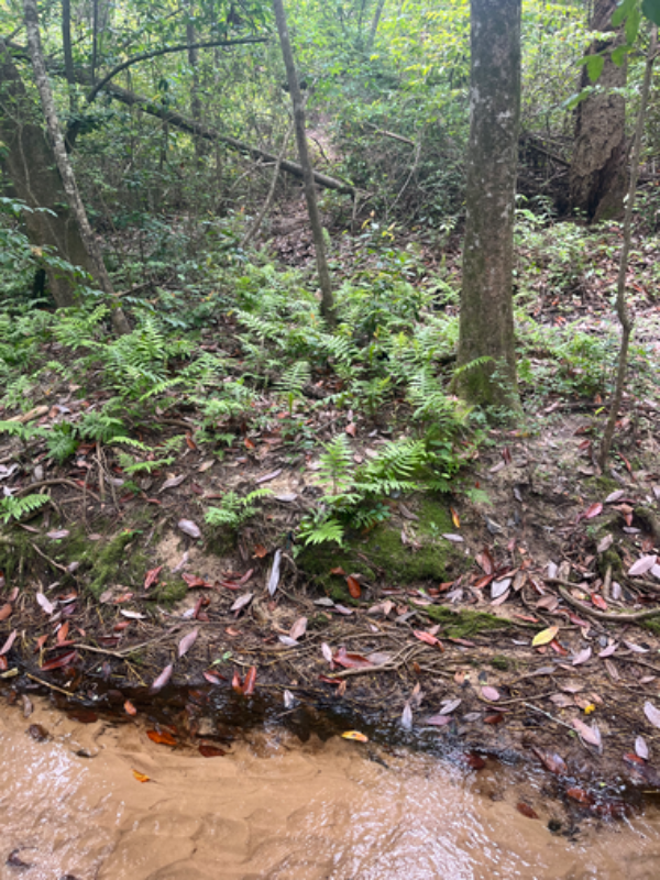 7597 Northpointe Blvd - Photo 2 of 2