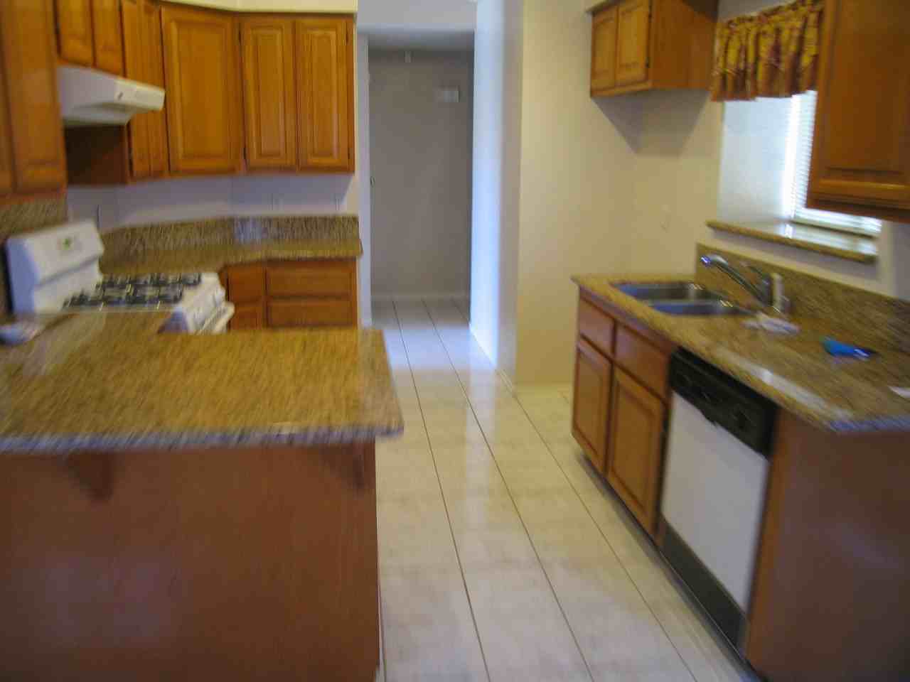 13349 Burney Pass Dr - Photo 3 of 3