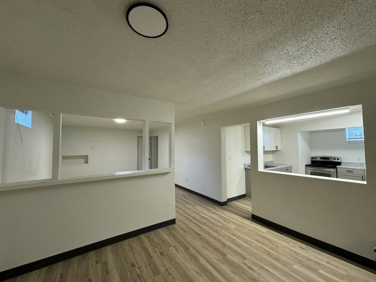 831 Silver Street, Unit 4 - Photo 3 of 14