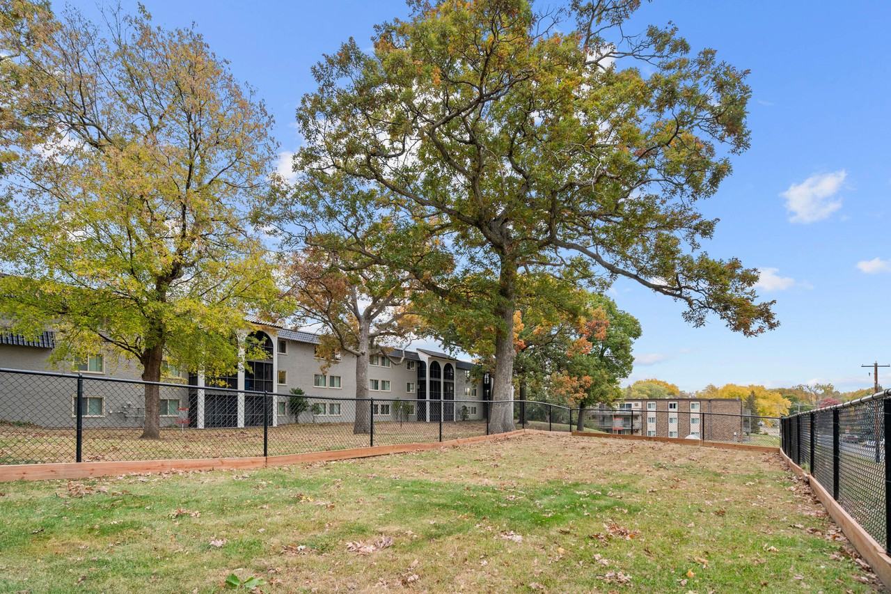 Morada - Photo 3 of 22