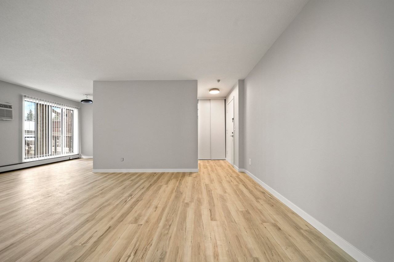 Morada - Photo 2 of 22