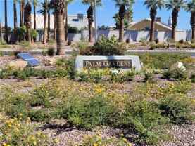 6277 Elvido Ave - Photo 1 of 1