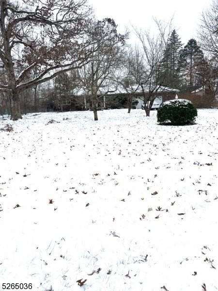 19 Lavina Ter - Photo 2 of 9