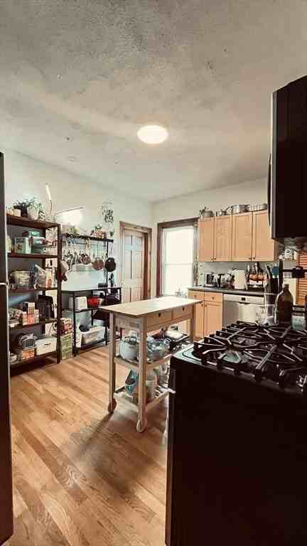 3 Nira Ave Apt 2 #2 - Photo 5 of 9