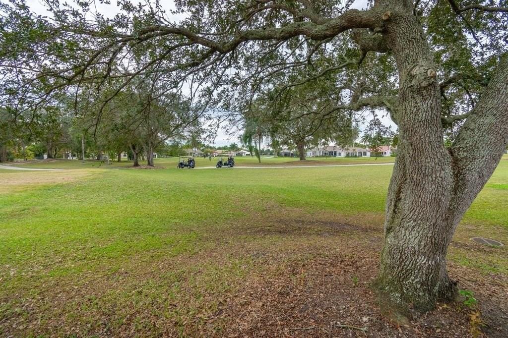 2466 Bay Isle Ct #2466 - Photo 3 of 37