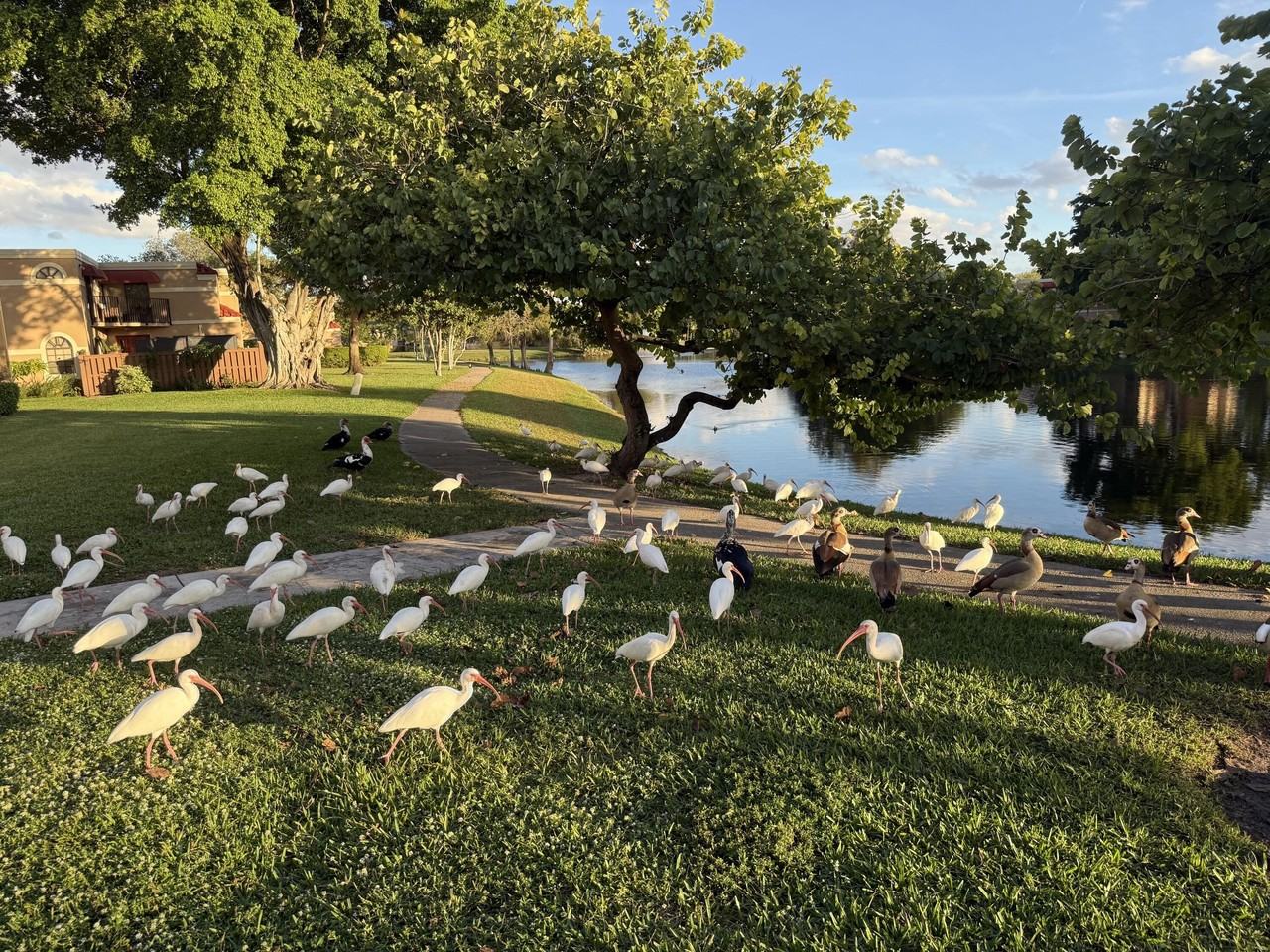 8171 Severn Dr #D - Photo 3 of 15