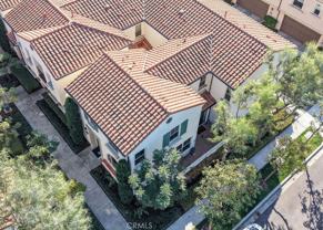 64 Emerald Clover - Photo 1 of 1