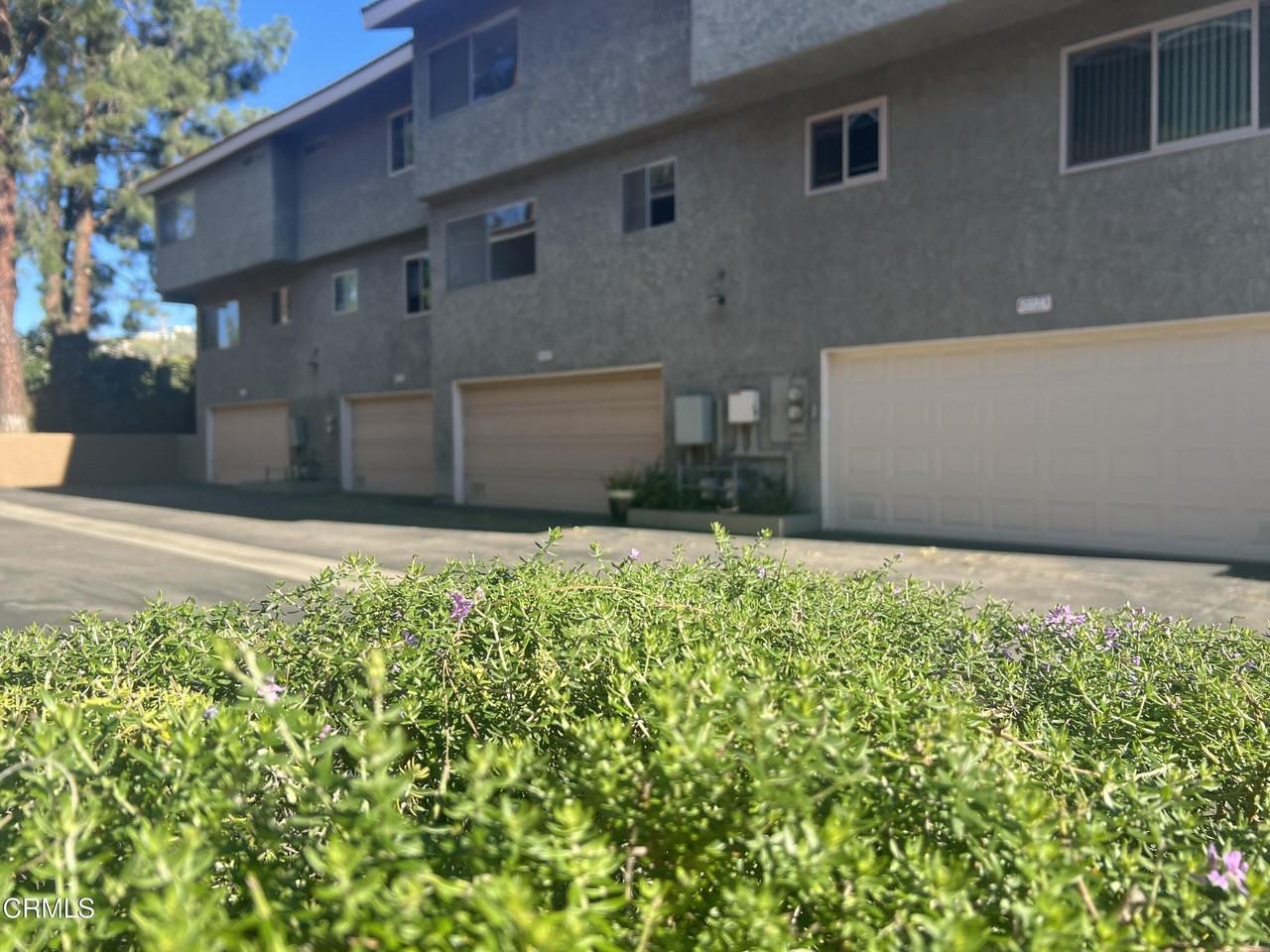 2181 Euclid Ave - Photo 5 of 46