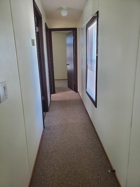 41 County Rd - Photo 6 of 15