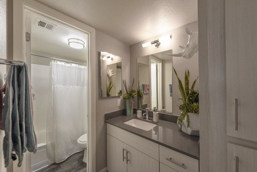 Icon on Central - Photo 4 of 29