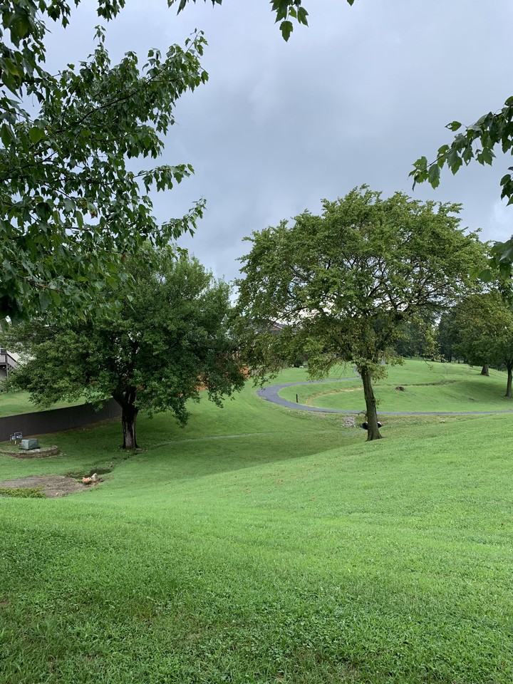 1507 Ne Benjamin Grn #NA - Photo 4 of 41