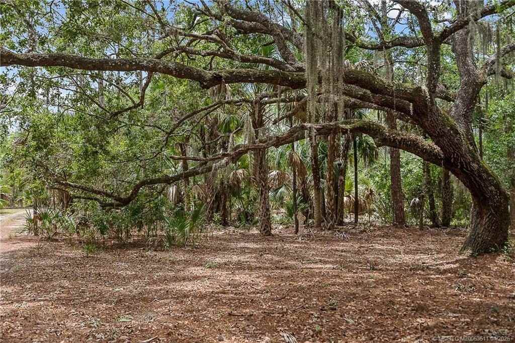 11511 Sw Citrus Blvd - Photo 3 of 17