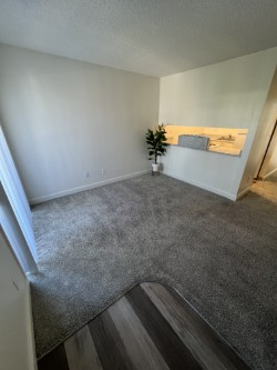 1351 Dustin Dr #37 - Photo 2 of 10