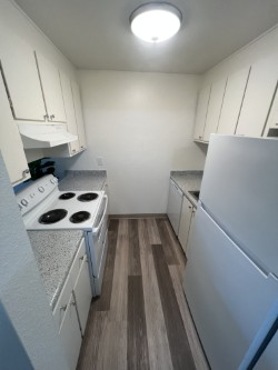 1351 Dustin Dr #37 - Photo 4 of 10