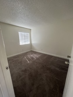 1351 Dustin Dr #49 - Photo 6 of 10