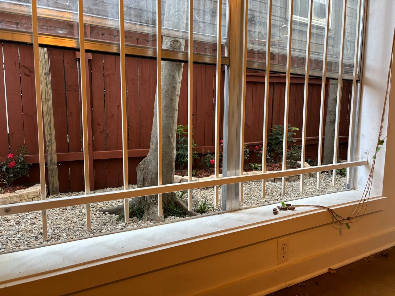 2909 Albany St #2909 - Photo 7 of 50