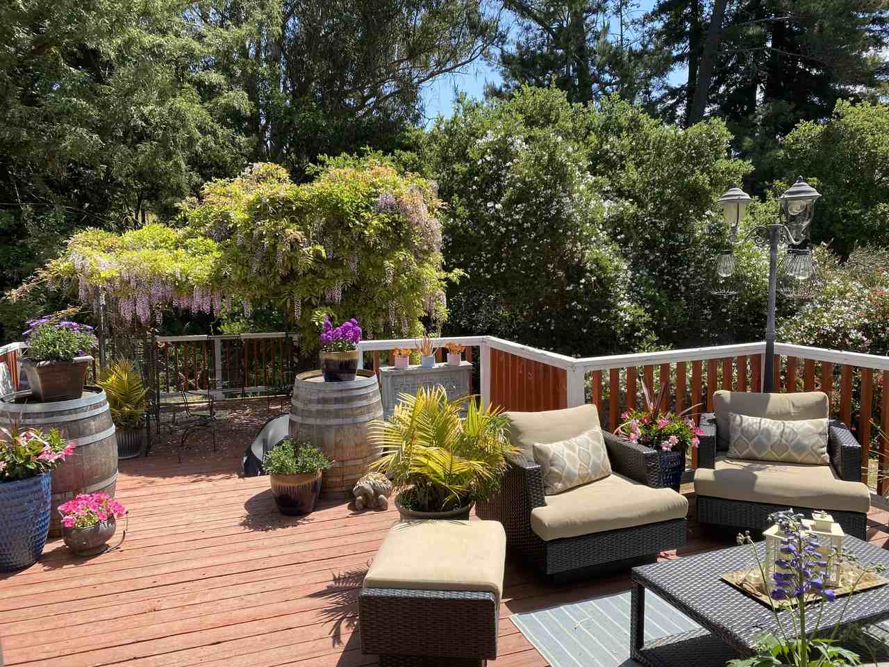 230 Corralitos Rd - Photo 6 of 8