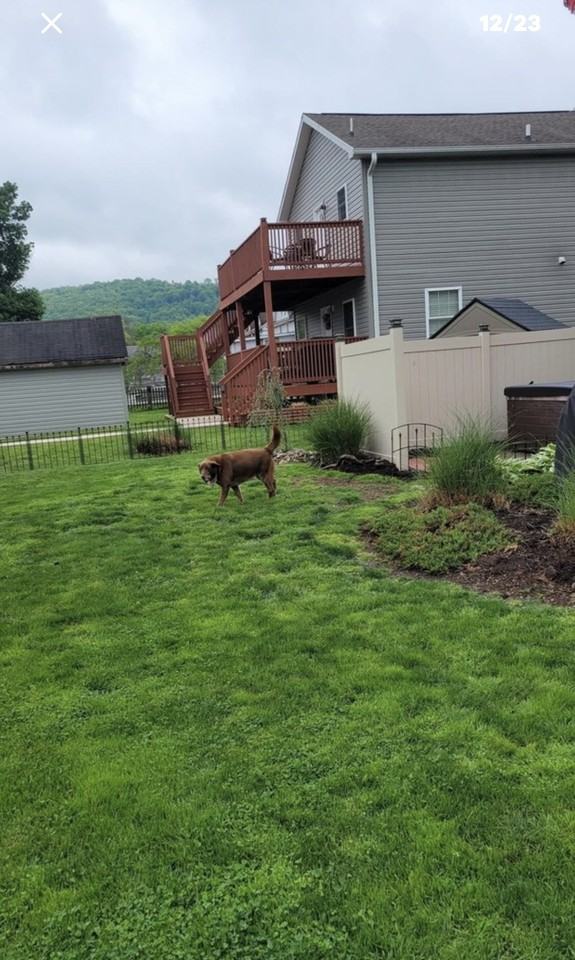 1003 Catherine St Apt A #NA - Photo 5 of 13