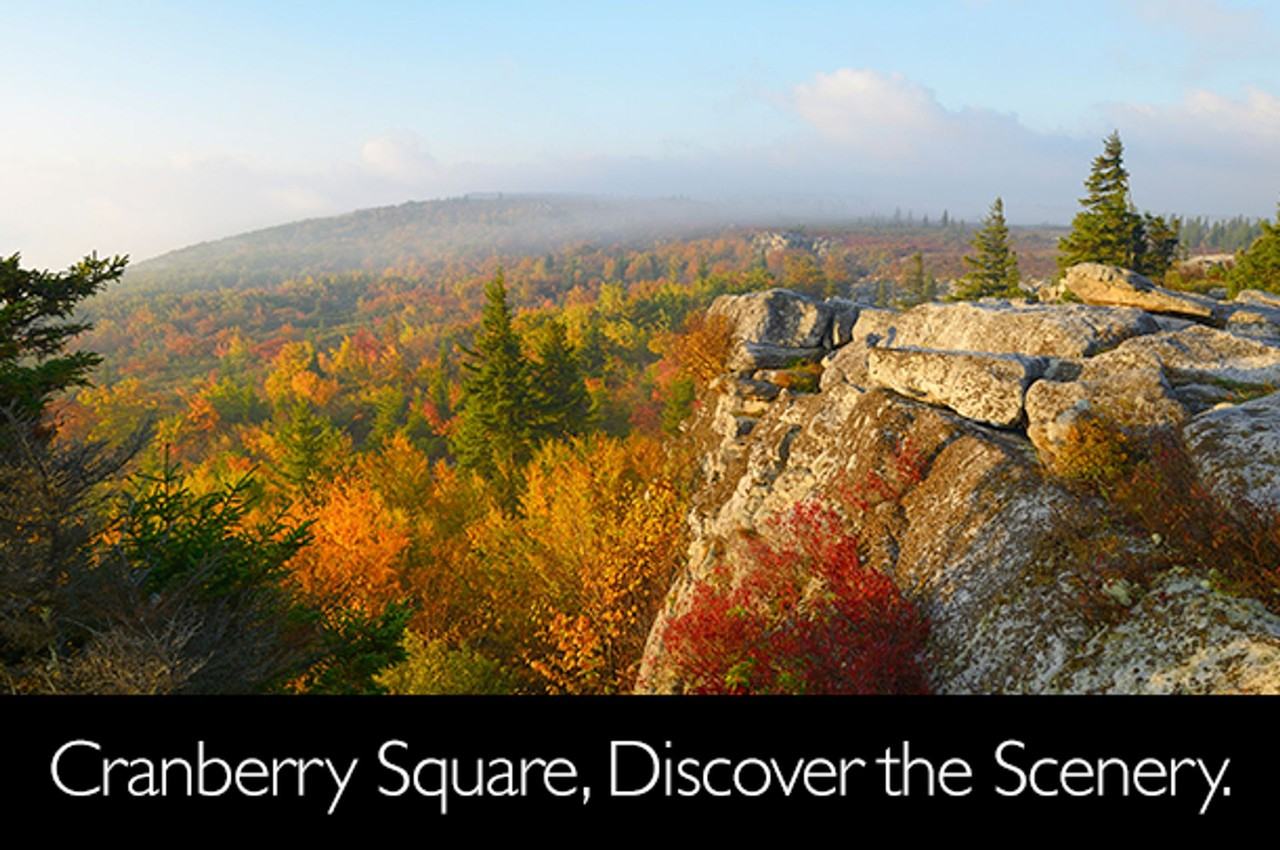 Cranberry Square - Photo 6 of 7