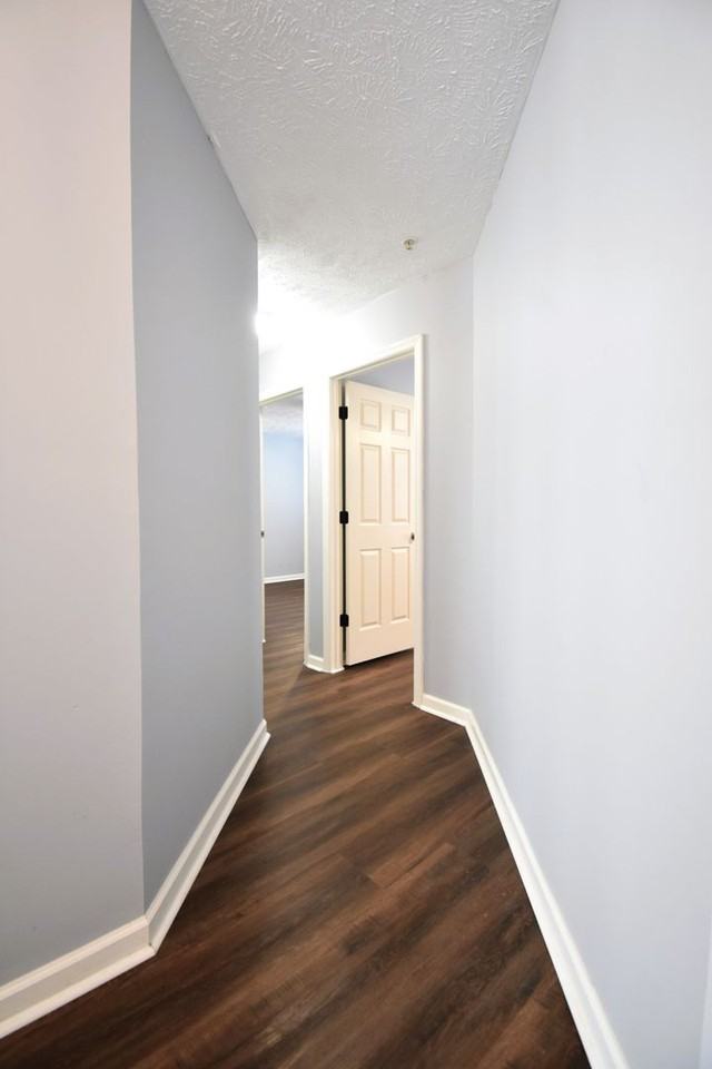 295 Warton Ln - Photo 4 of 22