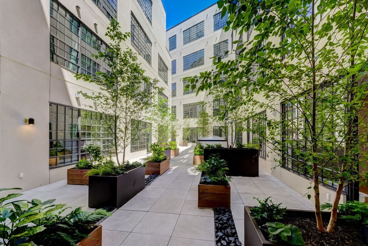 The Rally - Photo 3 of 39