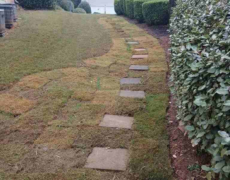 1624 Longmont Dr - Photo 2 of 16