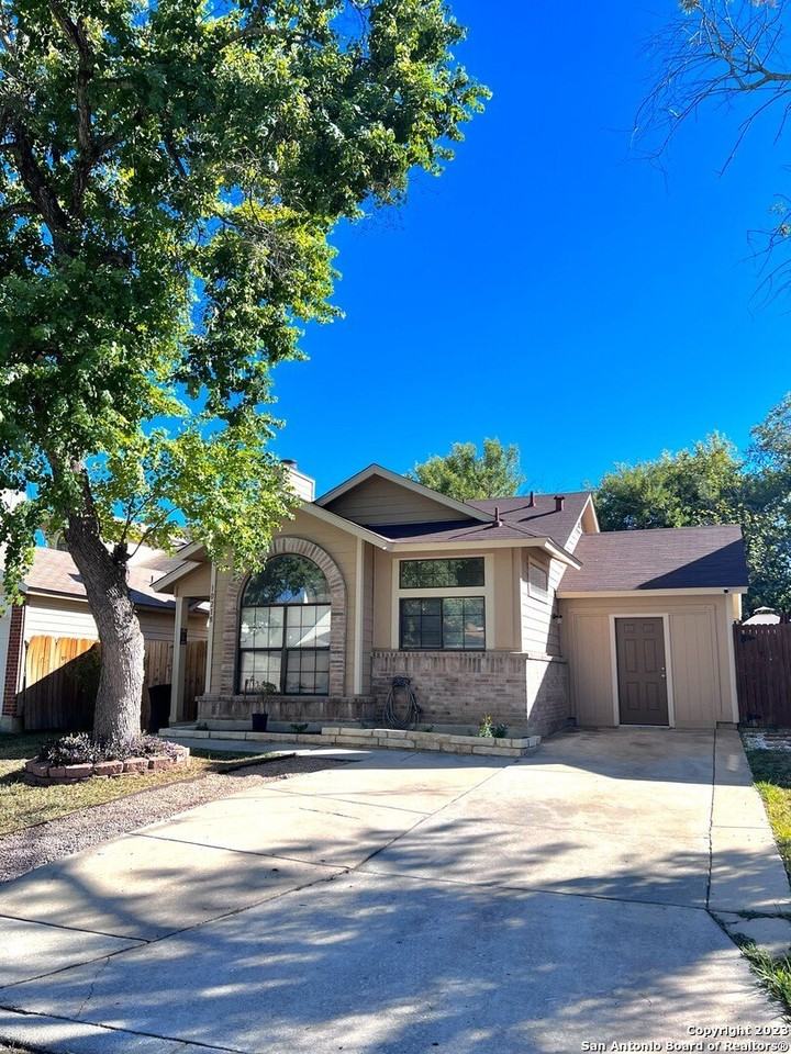 10218 Sunrise Fld - Photo 3 of 19