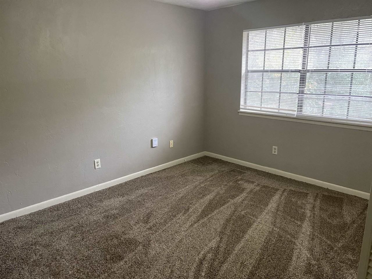 2519 Old Bainbridge Rd Apt B #B - Photo 5 of 8